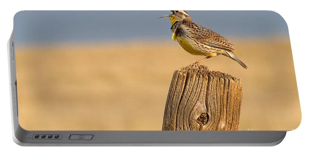 Meadowlark Portable Battery Charger featuring the photograph With a Song in My Heart by Jim Garrison