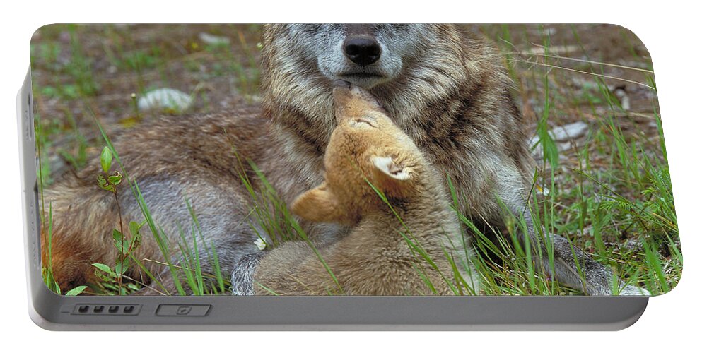 Wolf Portable Battery Charger featuring the photograph Wolf Mother And Pups by Art Wolfe