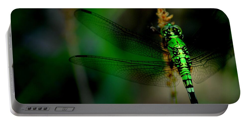 Dragonfly Portable Battery Charger featuring the photograph Wonderland by David Weeks