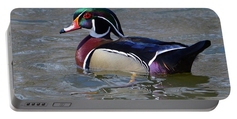 Wood Duck Portable Battery Charger featuring the photograph Wood Duck-I See You by Ann Bridges