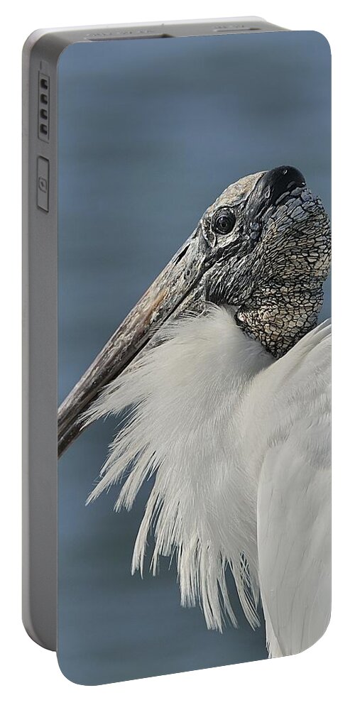 Wood Stork Portable Battery Charger featuring the photograph Wood Stork Portrait by Bradford Martin