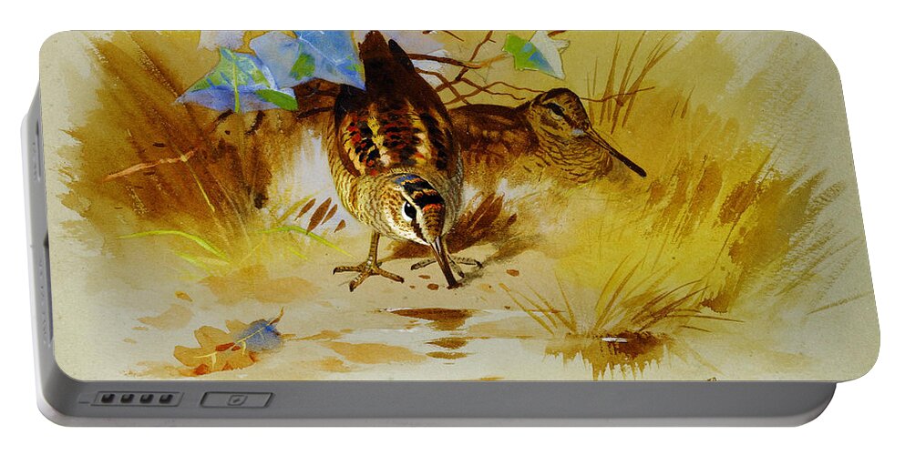 Archibald Thorburn Portable Battery Charger featuring the painting Woodcock in a sandy hollow by Celestial Images