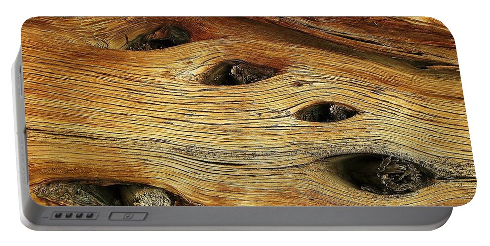 Juniper Wood Portable Battery Charger featuring the photograph Wooden Eyes by Michele Penner