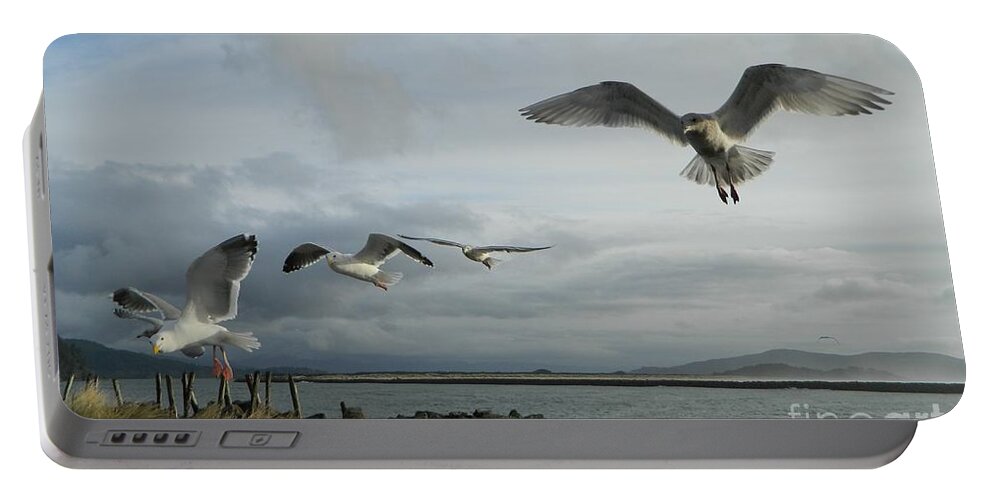 Birds Portable Battery Charger featuring the photograph Wow Seagulls 2 by Gallery Of Hope 