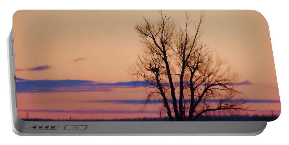 Silhouette Portable Battery Charger featuring the photograph Wyoming Tree by Cathy Anderson