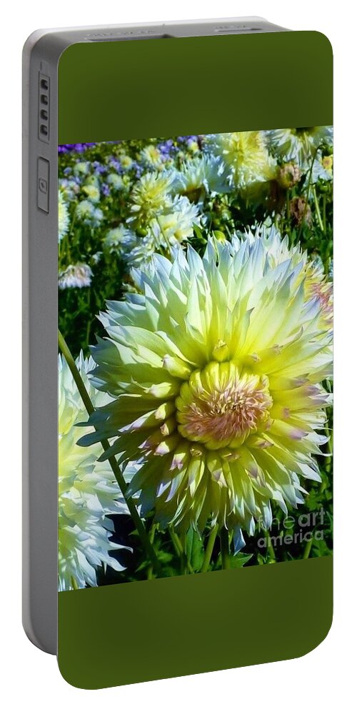 Yellow& White Dahlia Flowers Portable Battery Charger featuring the photograph Yellow and White Dahlia Flowers by Susan Garren