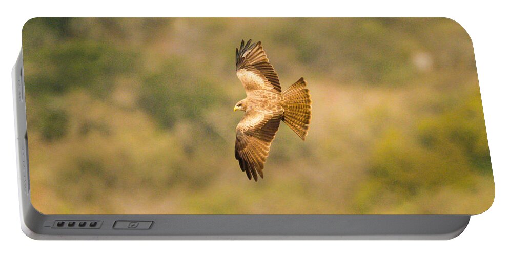 Africa Portable Battery Charger featuring the photograph Yellow billed Kite 7 by Alistair Lyne