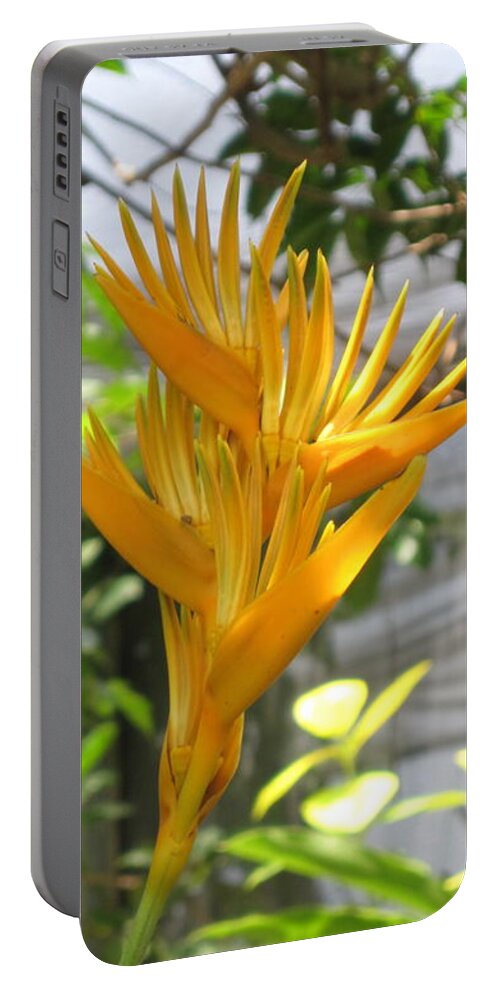 Yellow Bird Of Paradise Portable Battery Charger featuring the photograph Yellow Bird of Paradise by HEVi FineArt