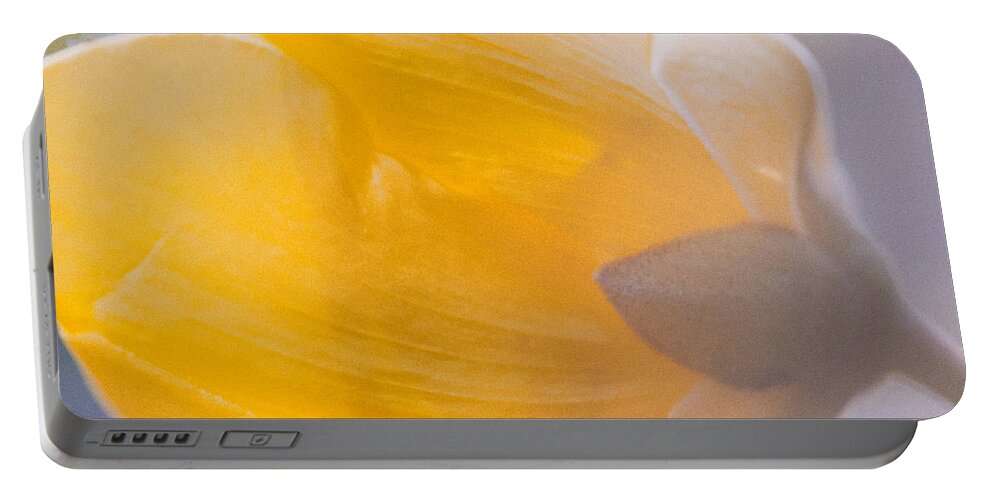 Outdoor Portable Battery Charger featuring the photograph Yellow Buttercup Flower by U Schade