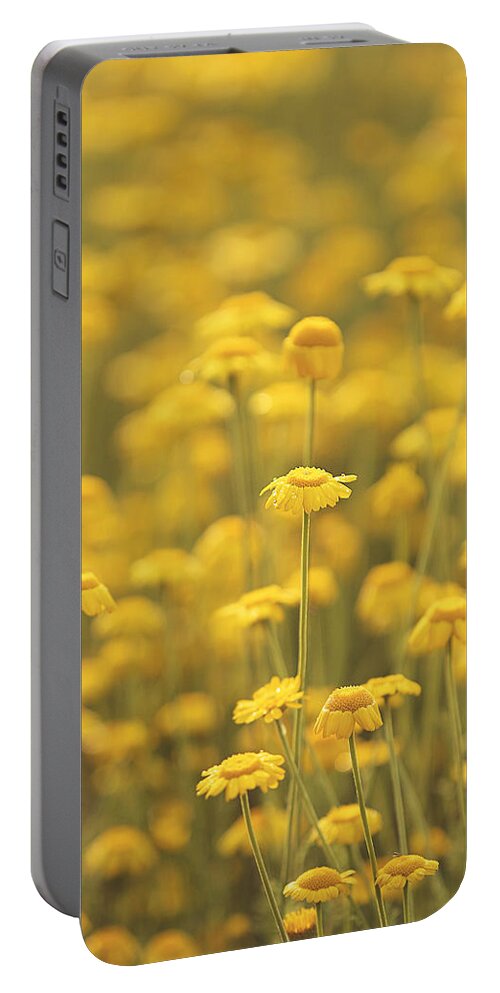 Summer Portable Battery Charger featuring the photograph Yellow by Carrie Ann Grippo-Pike