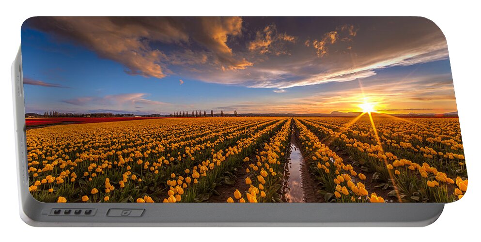 Tulip Fields Portable Battery Charger featuring the photograph Yellow Fields and Sunset Skies by Mike Reid