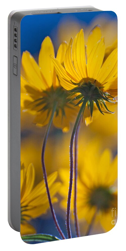Flower Portable Battery Charger featuring the photograph Yellow Flowers by Susan Cliett