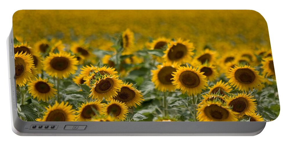 Sunflower Portable Battery Charger featuring the photograph Yellow by Ronda Kimbrow
