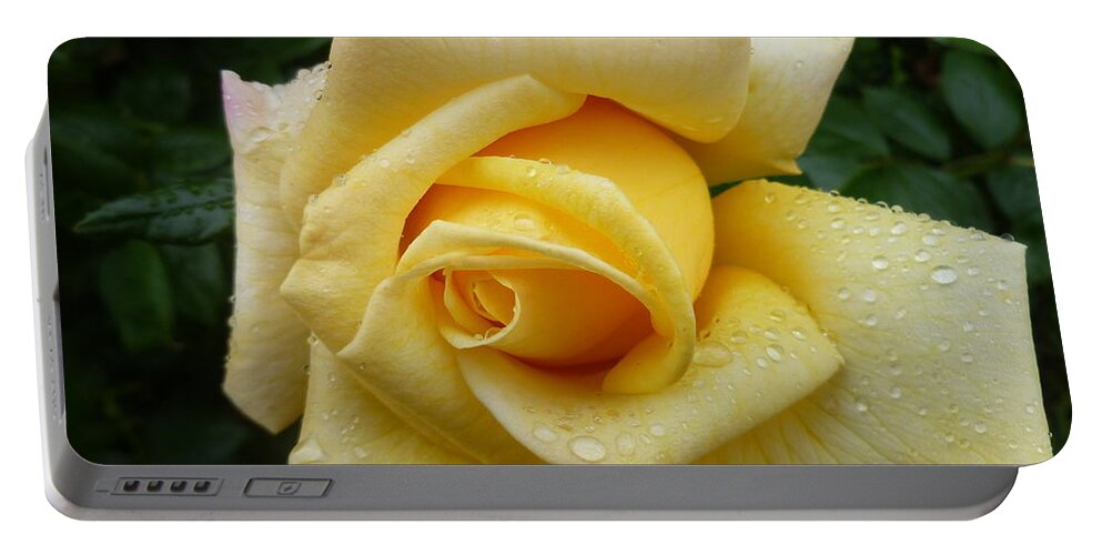 Floral Portable Battery Charger featuring the photograph Yellow Rose Say GoodBye by Lingfai Leung