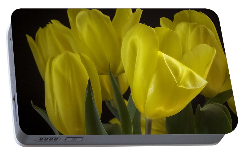Tulips Portable Battery Charger featuring the photograph Yellow Silk by Lucinda Walter