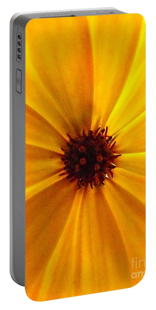 Osteospermum Portable Battery Charger featuring the photograph Yellow Splendour by Clare Bevan