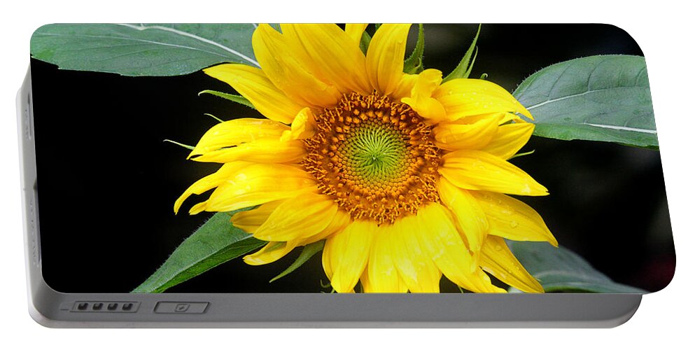 Flowers Portable Battery Charger featuring the photograph Yellow Sunflower by Trina Ansel