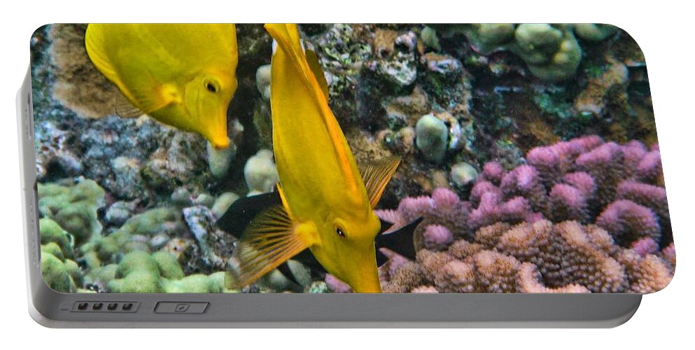 Yellow Tang Portable Battery Charger featuring the photograph Yellow Tang Pair by Peggy Hughes