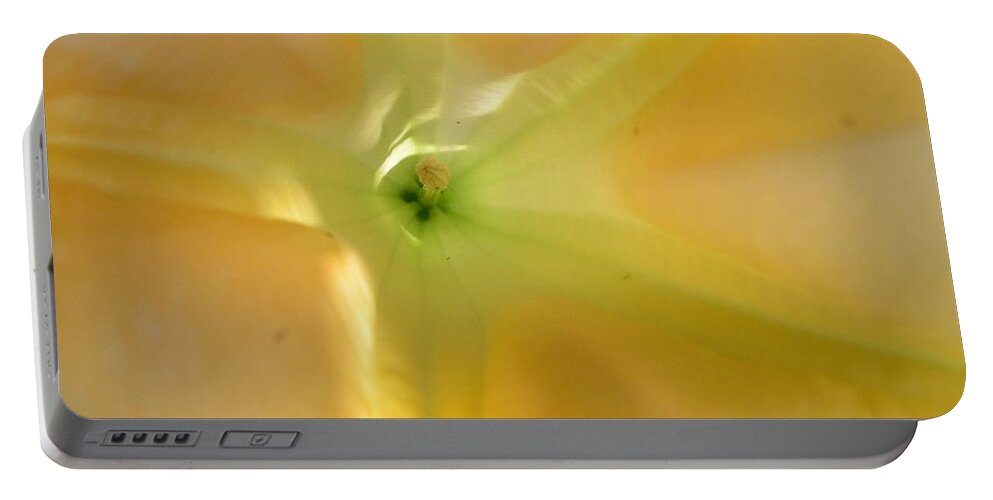 Yellow Flower Portable Battery Charger featuring the photograph Yellow Translucent Flower by Bev Conover