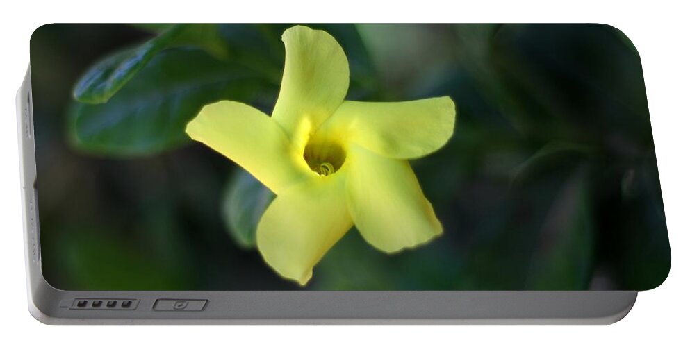 Yellow Trumpet Flower Portable Battery Charger featuring the photograph Yellow Trumpet Flower by Ramabhadran Thirupattur