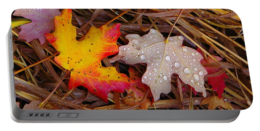 Autumn Leafs Portable Battery Charger featuring the photograph Yin Yang by David Andersen
