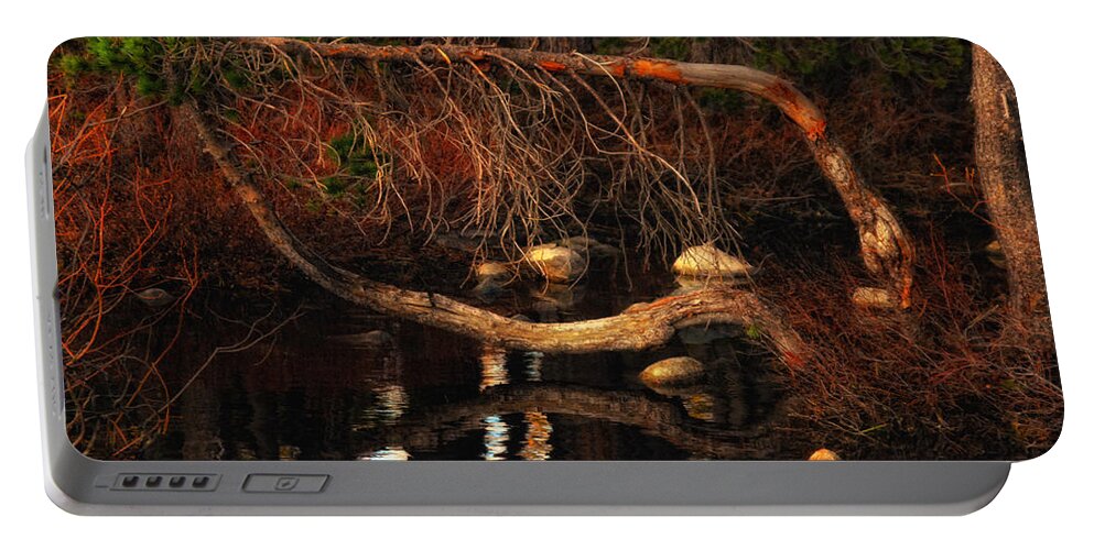 Yoga Portable Battery Charger featuring the photograph Yoga for Trees by Donna Blackhall