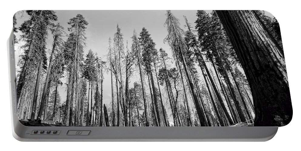 Yosemite Portable Battery Charger featuring the photograph Yosemite Forest by David Hart