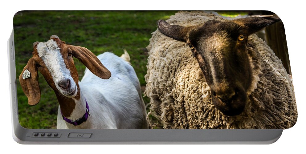 Barnyard Gossip Portable Battery Charger featuring the photograph You Don't Say by Karen Wiles