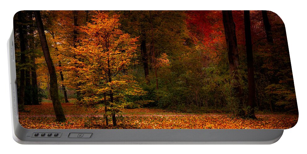 Autumn Portable Battery Charger featuring the photograph Youth by Hannes Cmarits