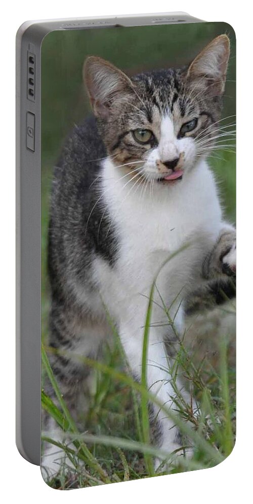 Pet Portable Battery Charger featuring the photograph Yuck by Charlotte Schafer