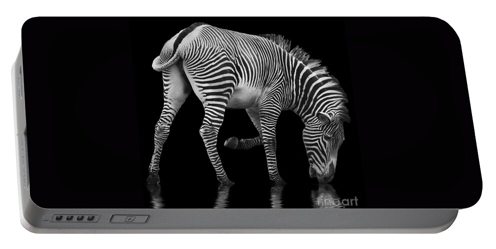Zebra Portable Battery Charger featuring the photograph Zebra and the Mill Pond II by Sheila Laurens