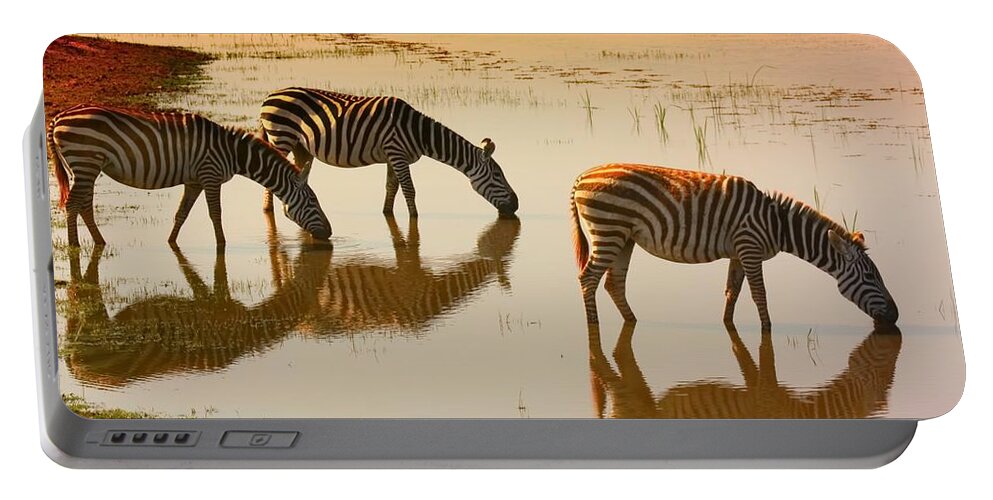Zebra Portable Battery Charger featuring the photograph Zebra at Waterhole by Amanda Stadther