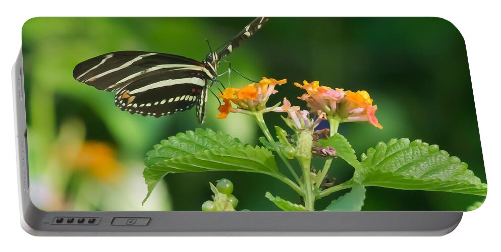Florida Portable Battery Charger featuring the photograph Zebra Longwing by Jane Luxton