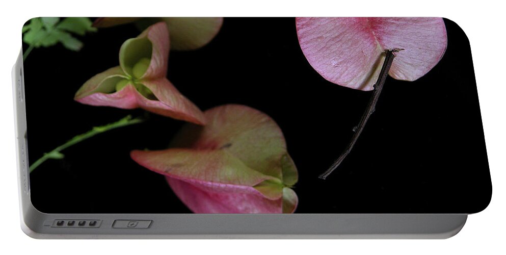 Art Portable Battery Charger featuring the photograph Zen of Nature III by Julianne Felton