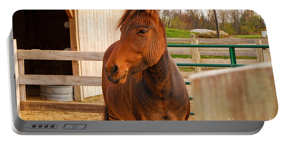 Zorse Portable Battery Charger featuring the photograph Zorse by Mary Carol Story