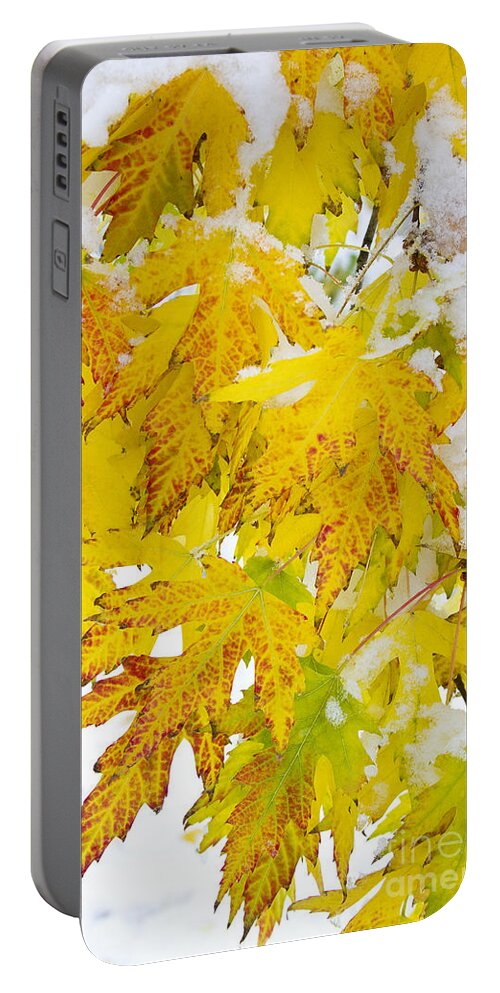 Snow Portable Battery Charger featuring the photograph Autumn Snow Portrait by James BO Insogna