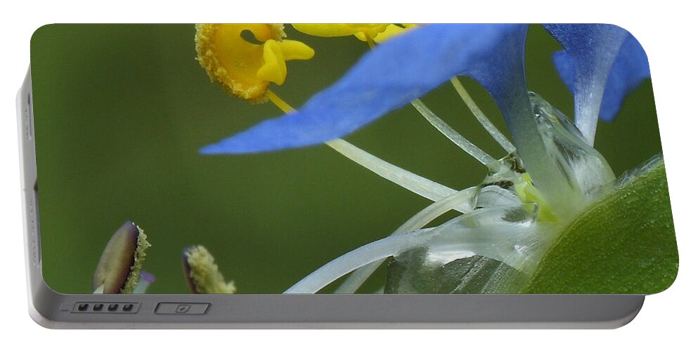 Slender Dayflower Portable Battery Charger featuring the photograph Close View Of Slender Dayflower Flower With Dew by Daniel Reed