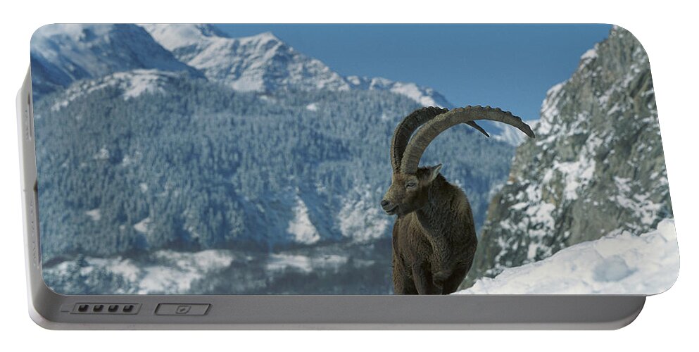 Mp Portable Battery Charger featuring the photograph Alpine Ibex Capra Ibex Adult Male #1 by Cyril Ruoso