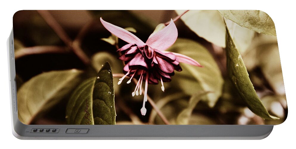 Flower Portable Battery Charger featuring the photograph Antiqued Fuchsia #1 by Jeanette C Landstrom
