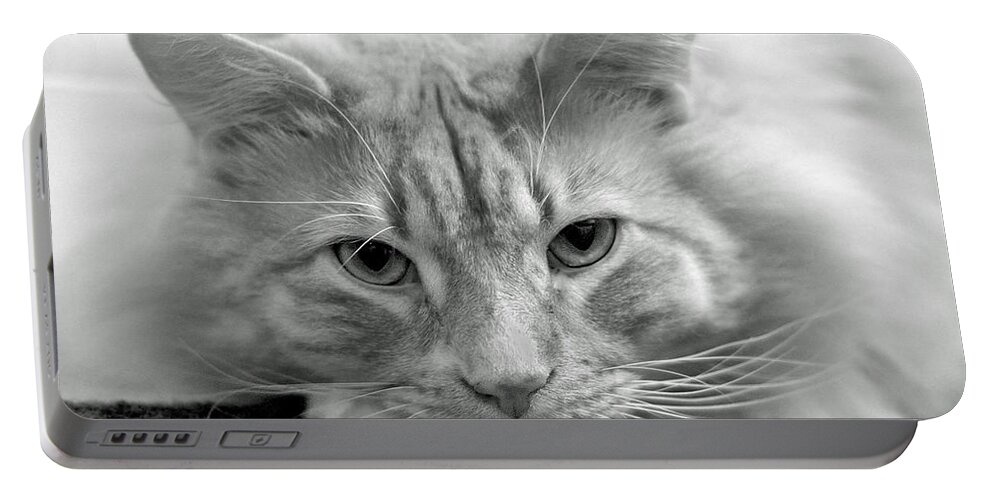 Animals Portable Battery Charger featuring the photograph Arthur by Lisa Phillips