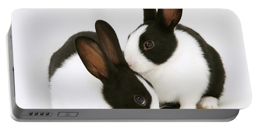 Black-and-white Dutch Rabbit Portable Battery Charger featuring the photograph Baby Black-and-white Dutch Rabbits #1 by Jane Burton