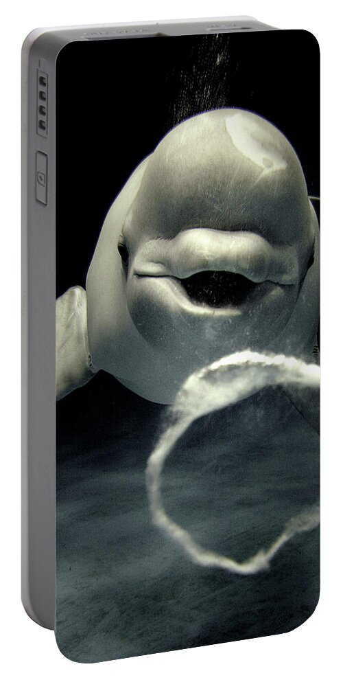 Mp Portable Battery Charger featuring the photograph Beluga Delphinapterus Leucas Whale #1 by Hiroya Minakuchi