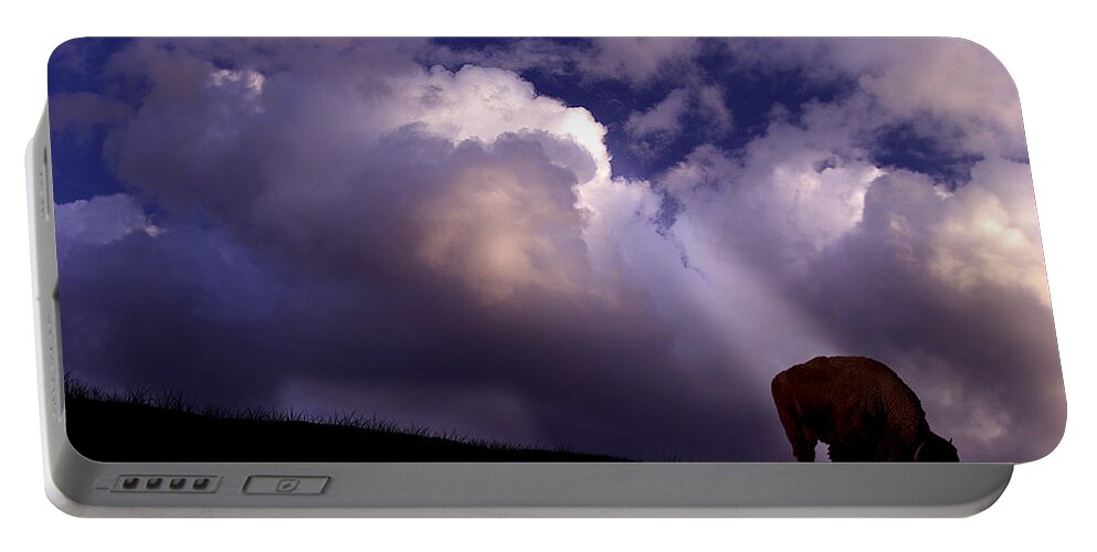 Nature Portable Battery Charger featuring the photograph Bison #1 by Ron Jones