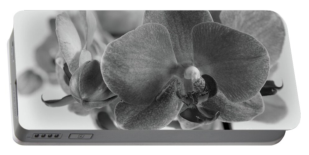 Bloom Portable Battery Charger featuring the photograph Black And White Orchid by Dariusz Gudowicz