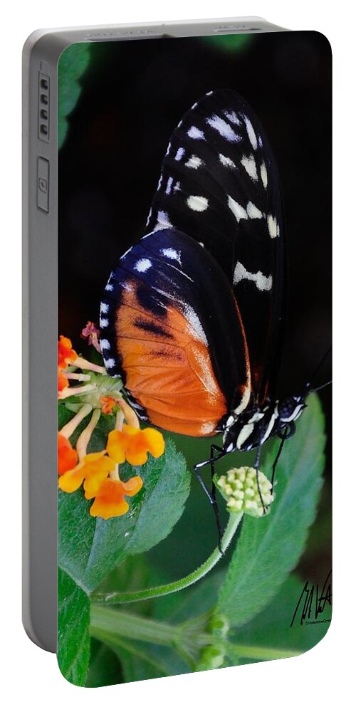  Portable Battery Charger featuring the photograph Butterfly with Mini Flowers by Mark Valentine