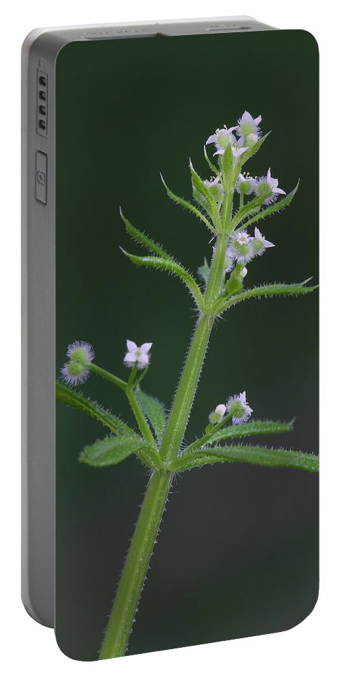 Cleavers Portable Battery Charger featuring the photograph Cleavers by Daniel Reed