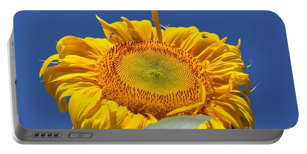 Sunflower Portable Battery Charger featuring the photograph Coming in for Landing by Cheryl Baxter