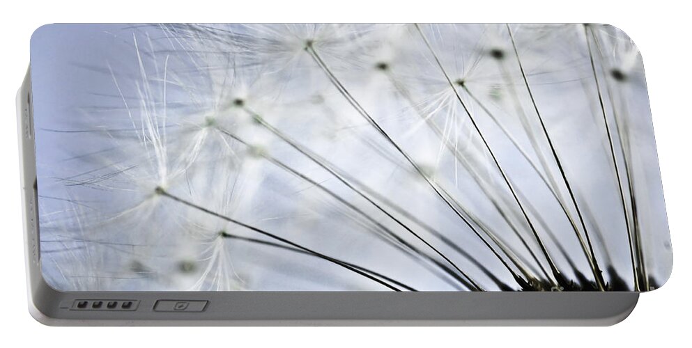 Dandelion Portable Battery Charger featuring the photograph Dandelion by Elena Elisseeva