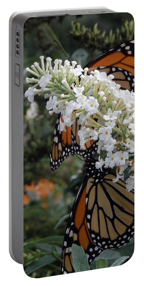 Monarch Portable Battery Charger featuring the photograph Double Beauty #1 by Kim Galluzzo