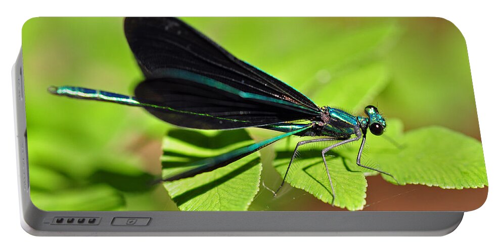 Dragonfly Portable Battery Charger featuring the photograph Dragonfly #1 by Glenn Gordon